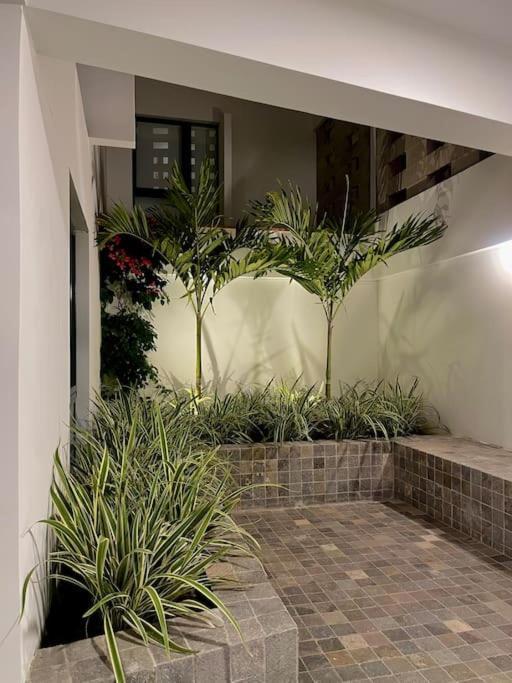 Premiere In The Heart Of Barranco, *